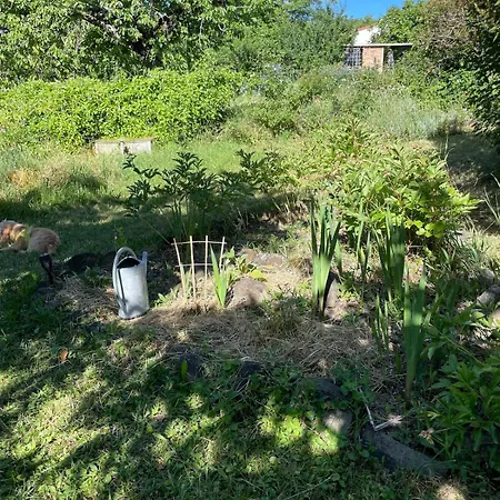 Apartment T2 Cosy - Balcon En Rdc - Jardin A 2 Min