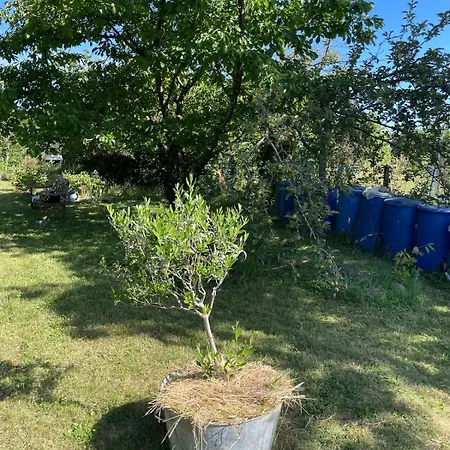 T2 Cosy - Balcon En Rdc - Jardin A 2 Min * Clermont-Ferrand